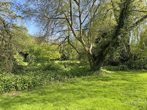 Photo 9- click for photo gallery